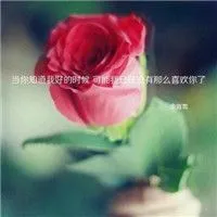 风景头像唯美小清新自然带字头像第1张