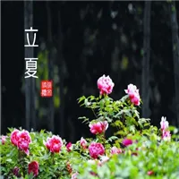 有关立夏的唯美风景头像小清新自然第1张