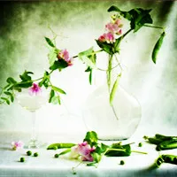 小清新静物图片唯美头像大全第1张