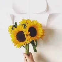 小清新向日葵头像图片唯美第1张