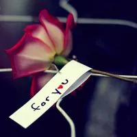 最新的小清新唯美花朵头像第1张