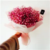 满天星唯美小清新贴吧头像第1张