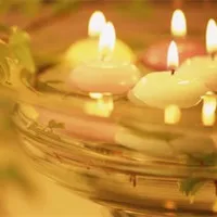 唯美静物小清新文艺头像第1张