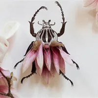 静物小清新唯美创意头像第1张