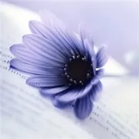 高清唯美花朵意境图片头像大全第1张