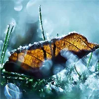 个性唯美静物图片头像大全第1张