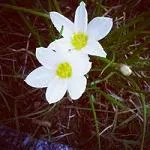 最美的风景头像唯美大全第1张