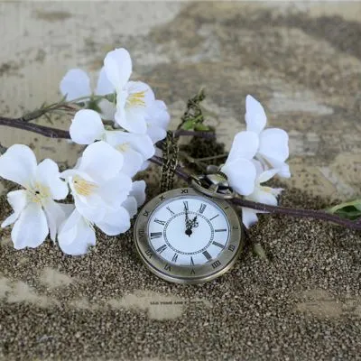 最新冬季鲜花唯美风景头像大全第1张