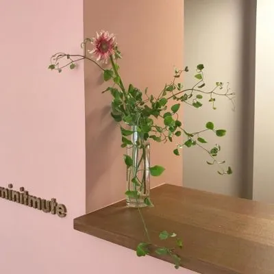 最新图片头像唯美风景花卉第1张