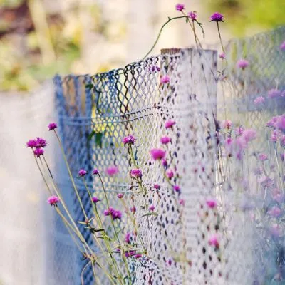 唯美头像风景小意境图片大全第1张