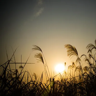 高清唯美伤感风景头像超好看第1张