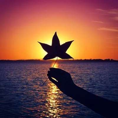 唯美内涵有意境的头像景色最新第1张