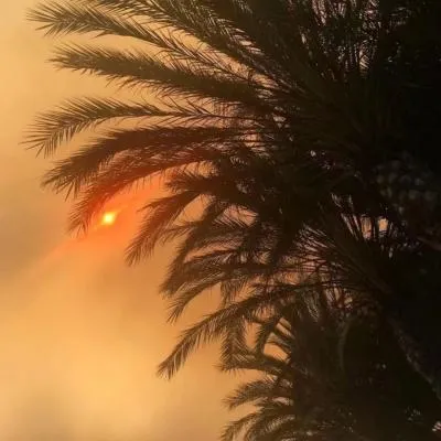 唯美的风景静物头像小清新清爽第1张