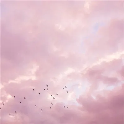 小粉红的天空唯美意境头像第1张