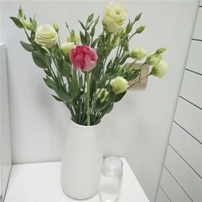 小清新有意境唯美桔梗花头像第1张