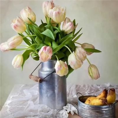 超级唯美郁金香花头像大全第1张