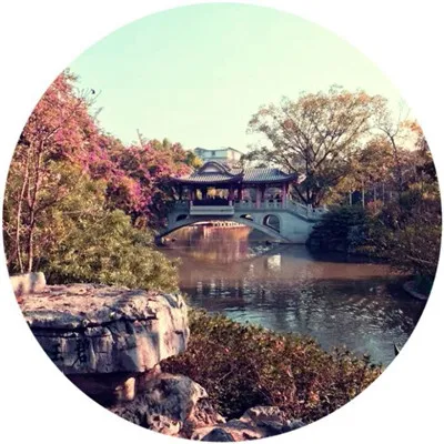 最新好看圆形风景头像唯美有意境第1张