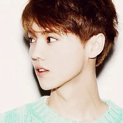 exo鹿晗唯美小清新头像大全第1张