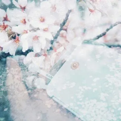 樱花头像图片大全最新版第1张