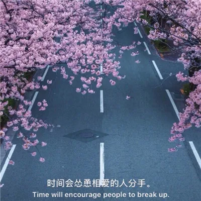 带字风景头像唯美意境第1张