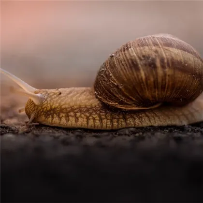 高清好看充满阳光正能量的图片头像第1张