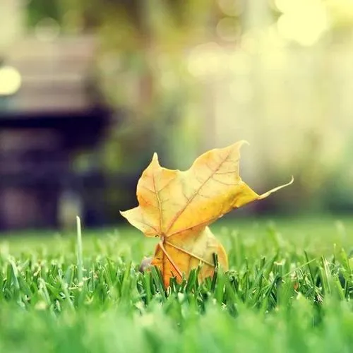 励志图片2021新图片正能量头像第1张