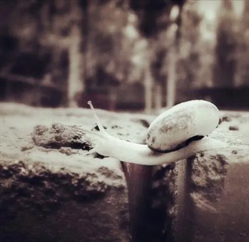 2021激励自己的图片头像合集第1张