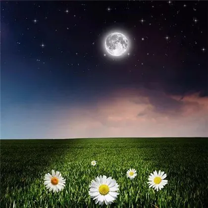 高清旺财转运的好运风景微信头像图片第1张