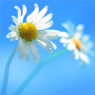 2021年最走运的微信图片头像第1张