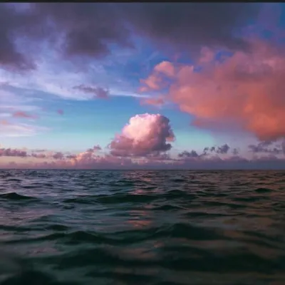 高清寓意吉祥好兆头的图片头像第1张