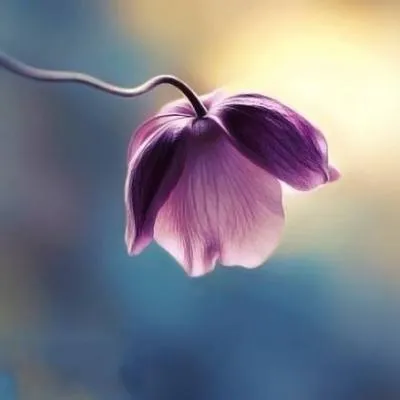 高清唯美头像风景第1张