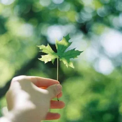 qq头像风景唯美小清新第1张