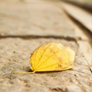 头像风景唯美小意境第1张