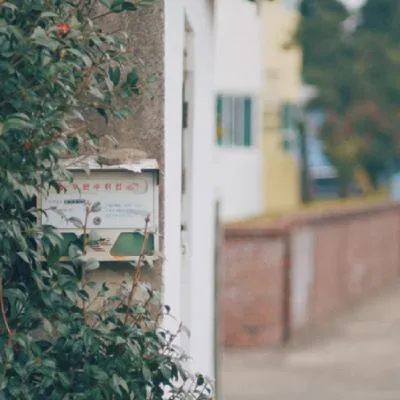 高清好看的清新风景静物头像图片第1张
