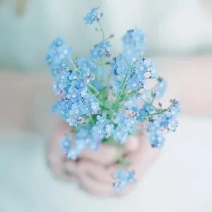 风景微信头像简约第1张