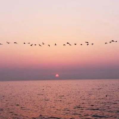 微信好看的头像风景第1张