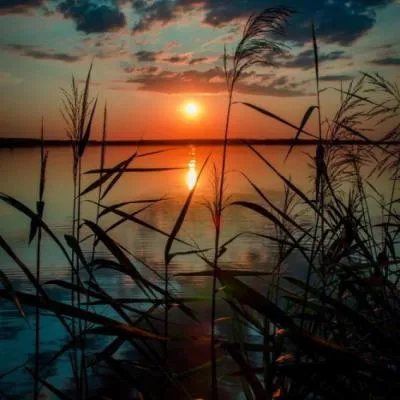 唯美意境风景图片头像第1张