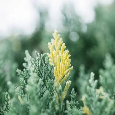 微信头像唯美意境风景第1张