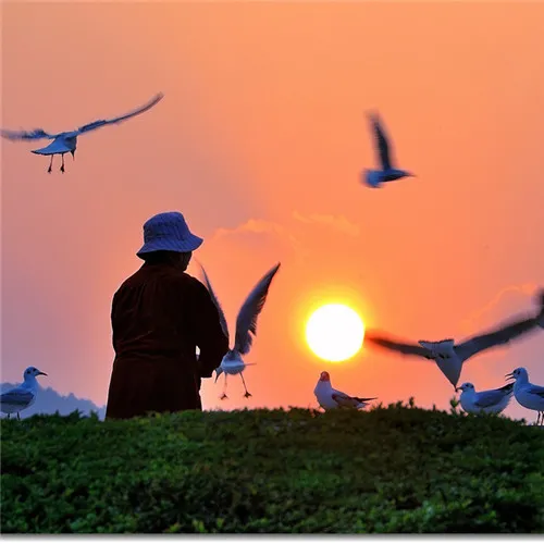 老年人微信头像风景第1张