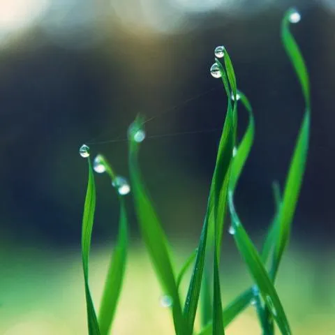 风景头像高清意境第1张