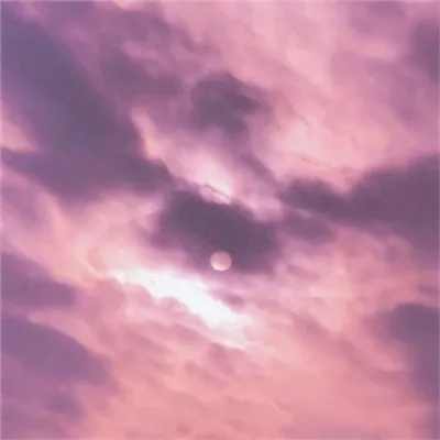 粉色系风景头像第1张