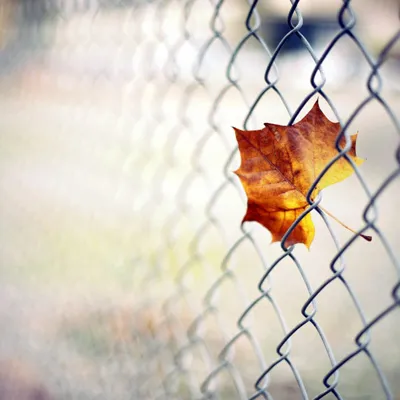 图片伤感风景头像第1张