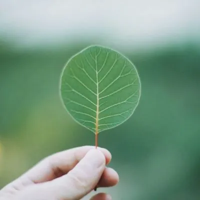 微信头像小清新风景第1张