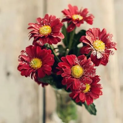 风景带花的微信头像第1张