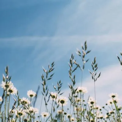 风景图片头像微信头像第1张