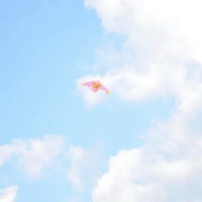 蓝色系唯美静物风景图片大全第1张