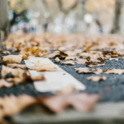 风景头像微信头像第1张