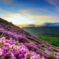 手机头像图片大全风景第1张