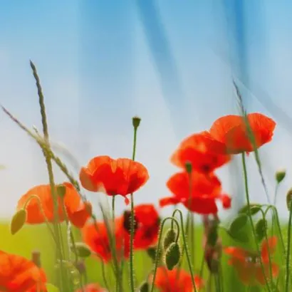 微信风景唯美头像第1张