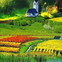 qq风景唯美头像第1张